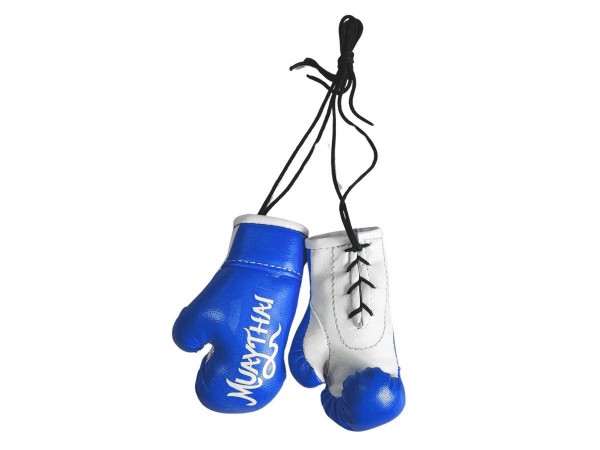 Boxing glove accessories shop